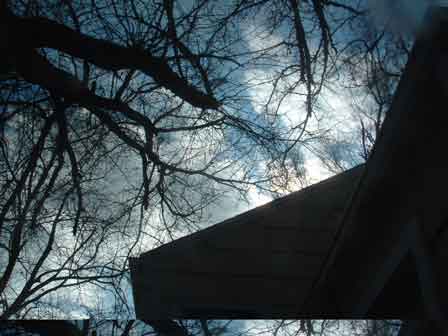 Tree Overhanging House